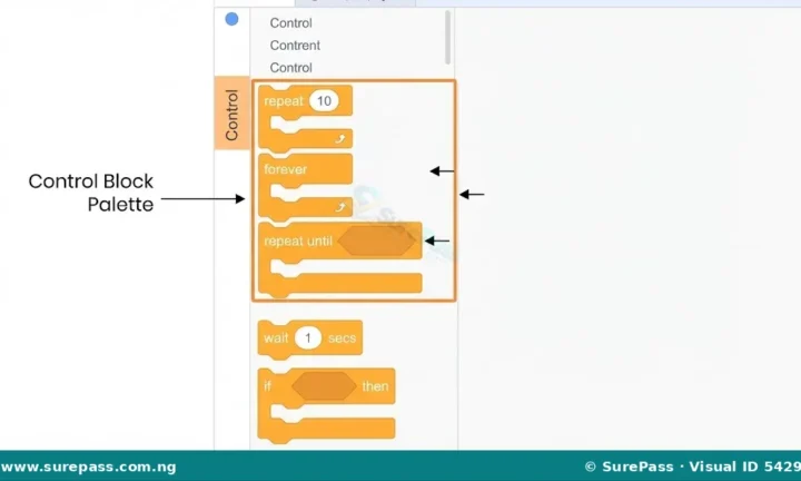Meaning, Types and Uses of Loops in Programming for JSS 1