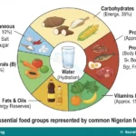 Meaning, Principles and Factors in Meal Planning for SS 1