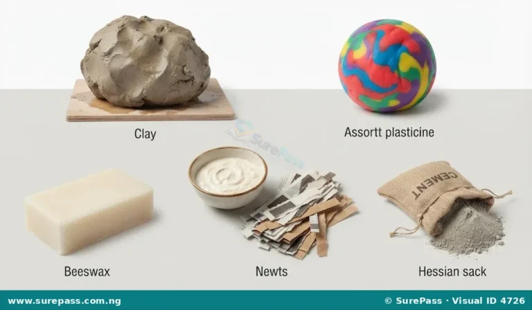 Meaning, Materials and Techniques of Modelling for Primary 4