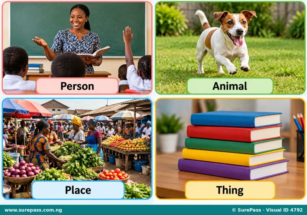 A collage showing a teacher (person), a dog (animal), a market (place), and books (things).