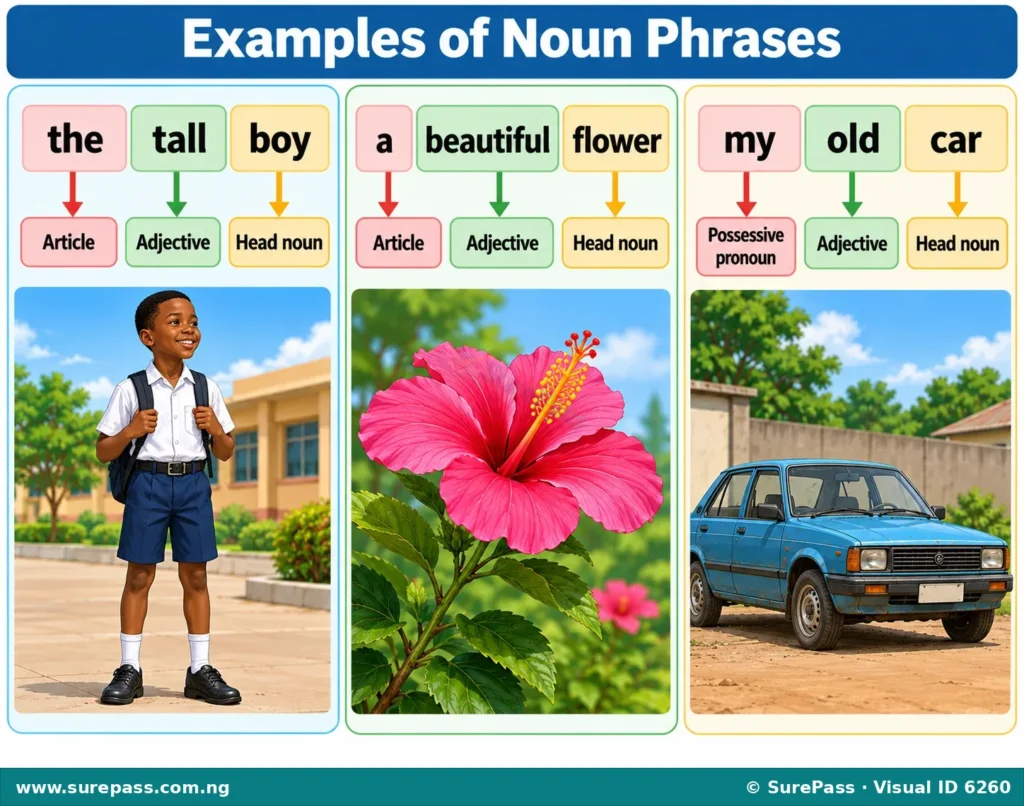 Illustration showing examples of noun phrases with their components labelled: 'the tall boy', 'a beautiful flower', 'my old car'.