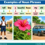 Grammatical Accuracy: Noun Phrases and Their Functions for SS 1