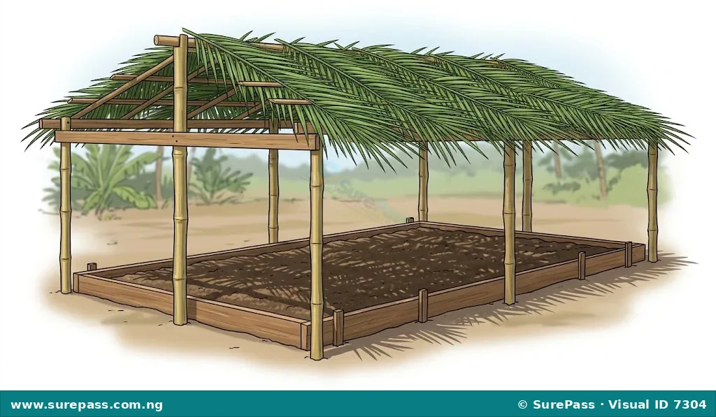 A constructed nursery structure made of bamboo poles and palm fronds shading a raised soil bed.