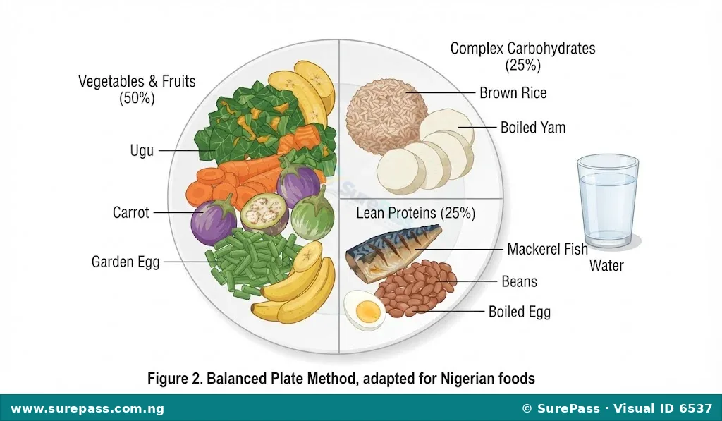 A balanced plate diagram showing the correct proportions of local Nigerian food groups.