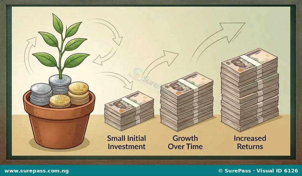 A visual showing a small plant growing out of a stack of Nigerian naira coins, symbolising the growth of money through investment.
