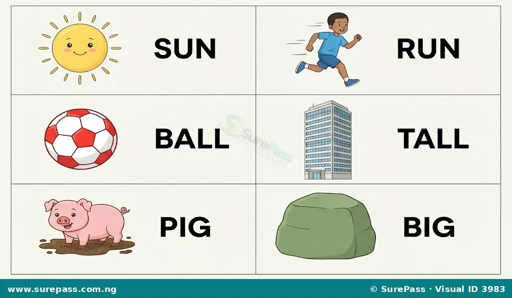 Illustrations of rhyming pairs: sun and run, ball and tall, pig and big.
