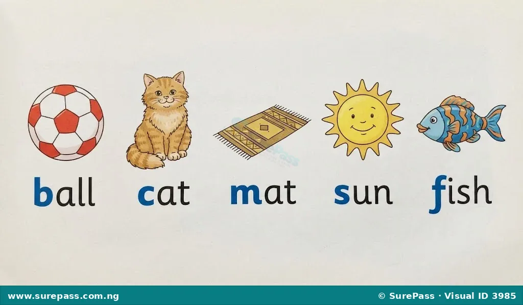 Illustration of a ball, cat, mat, sun, and fish, with their names emphasizing the beginning sound.
