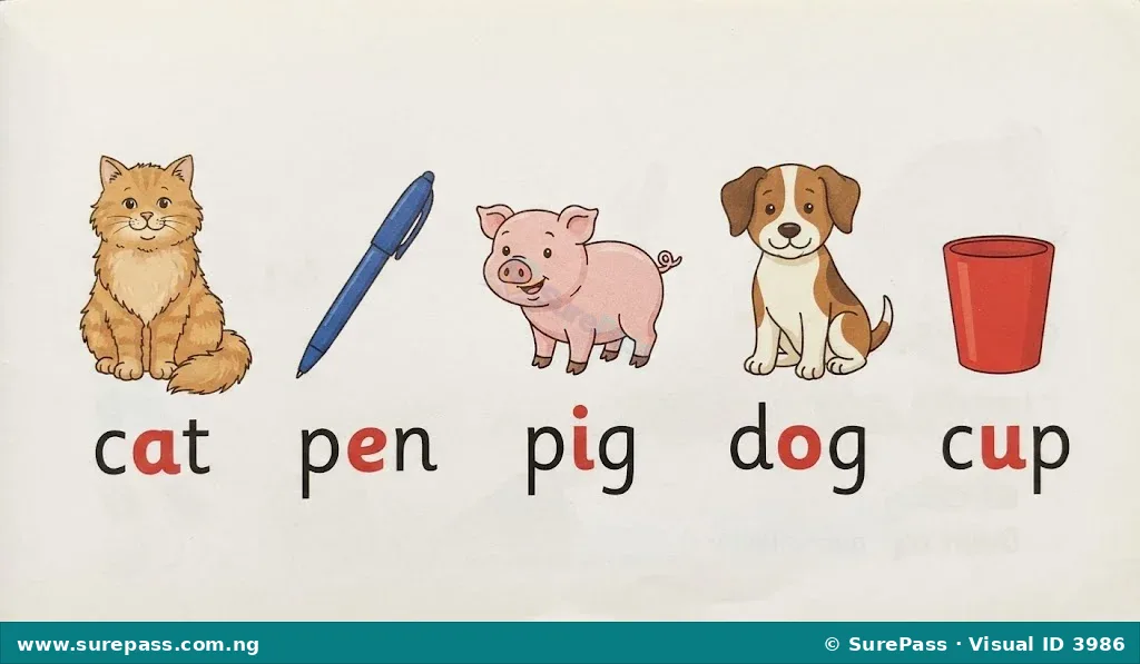 Illustration of a cat, pen, pig, dog, and cup, with their names emphasizing the middle sound.