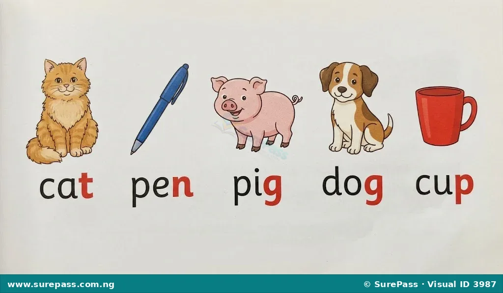 Illustration of a cat, pen, pig, dog, and cup, with their names emphasizing the ending sound.