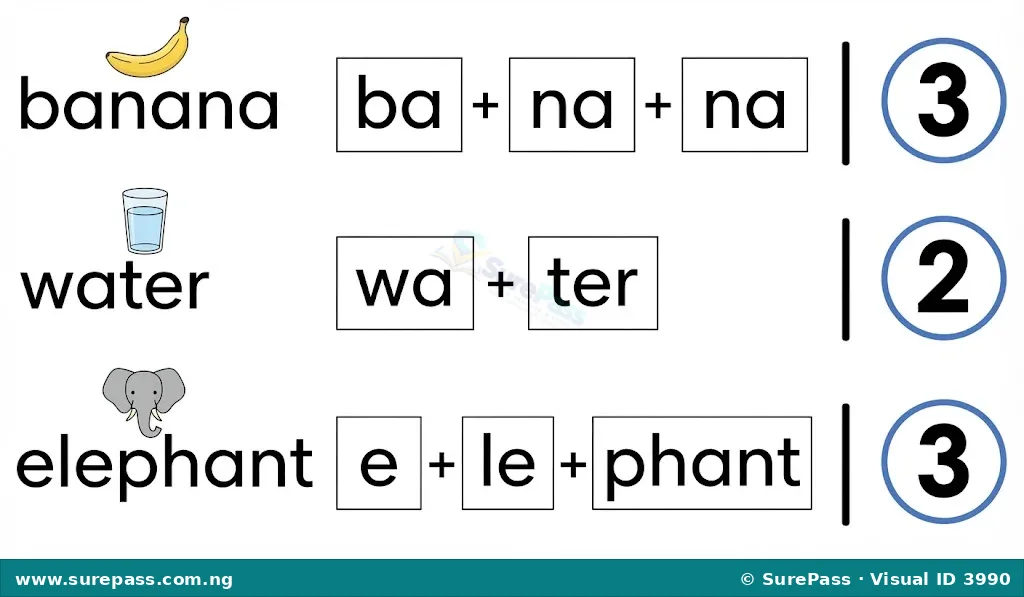 Diagram showing words "banana", "water", "elephant" broken into their syllables with the syllable count.