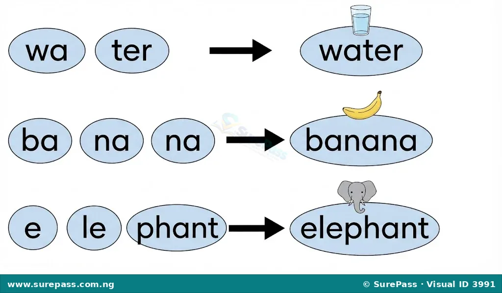 Diagram showing syllables "wa", "ter" blending to form "water"; "ba", "na", "na" blending to form "banana"; and "e", "le", "phant" blending to form "elephant".