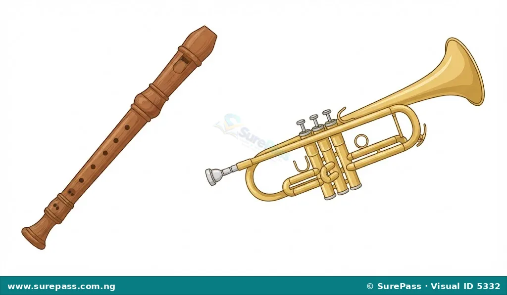Illustrations of a wooden recorder flute and a brass trumpet, which are aerophones.