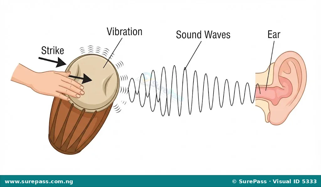 Diagram showing a hand striking a drum, causing the drumhead to vibrate and produce sound waves that travel to an ear.