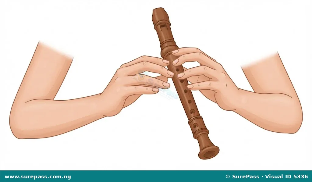 A person's hands demonstrating the correct way to hold a recorder flute and cover its holes.