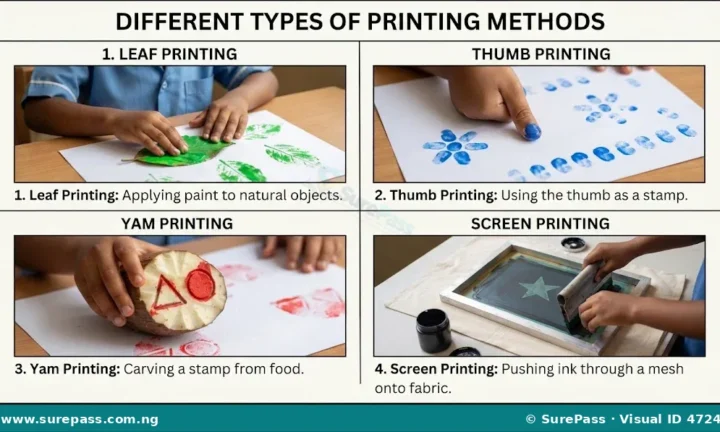 Meaning, Materials and Methods of Printing for Primary 4