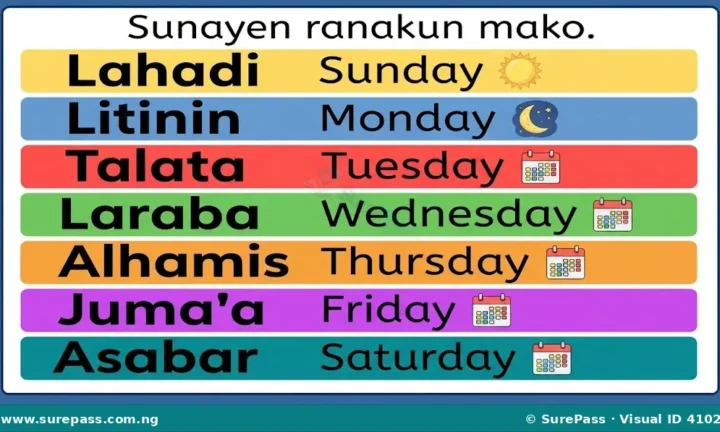 Ranakun Mako da Jerantuwarsu for Primary 1