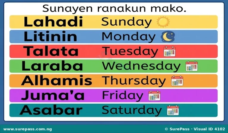Ranakun Mako da Jerantuwarsu for Primary 1