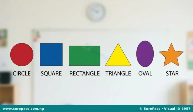 Shapes, Texture and Simple Art Patterns for Primary 1