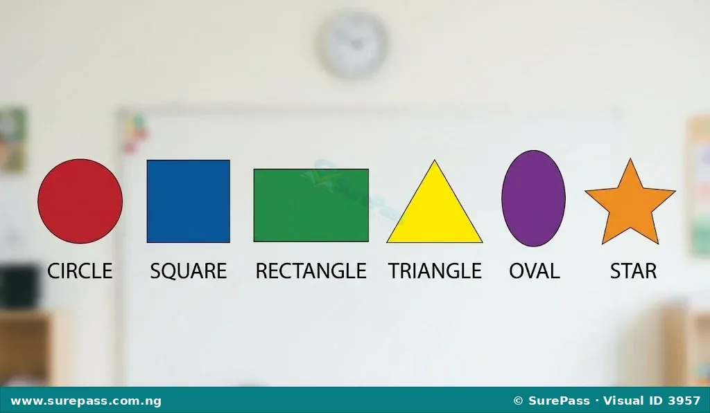 Six basic shapes including a circle, square, rectangle, triangle, oval, and star.