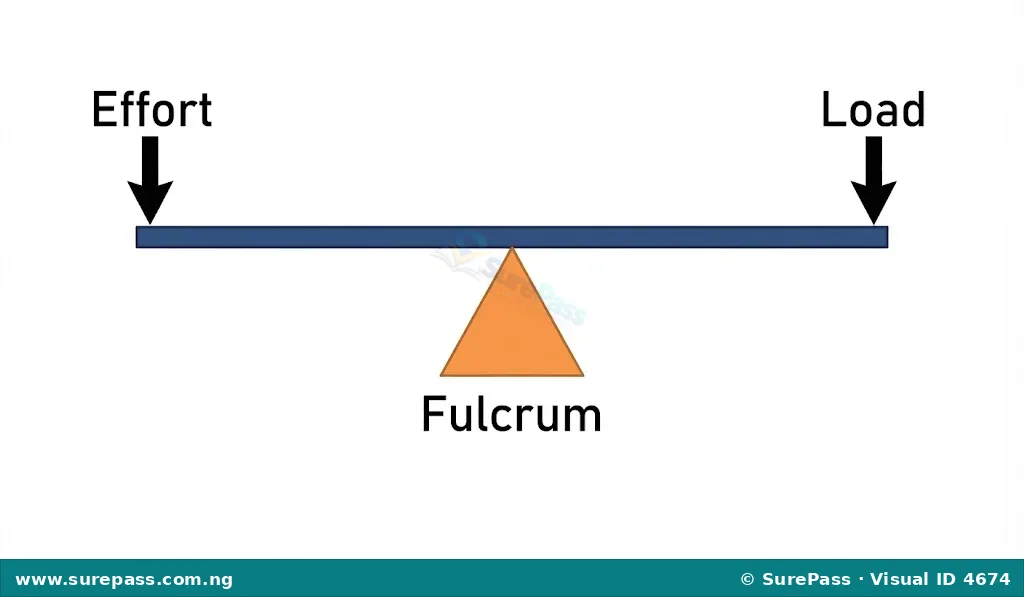Diagram of a first-class lever with fulcrum between effort and load.