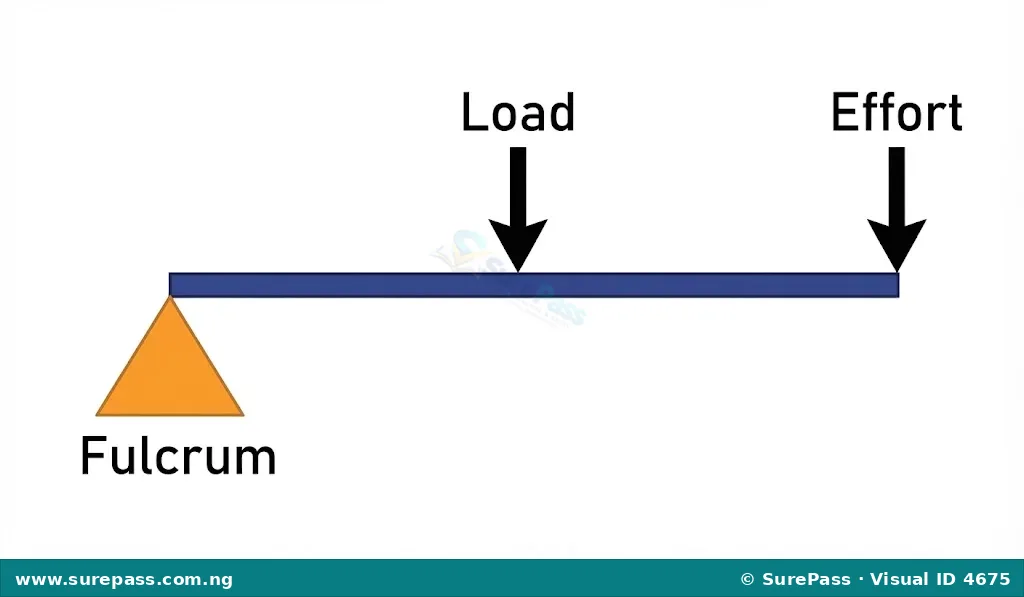 Diagram of a second-class lever with load between fulcrum and effort.