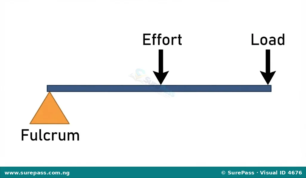 Diagram of a third-class lever with effort between fulcrum and load.
