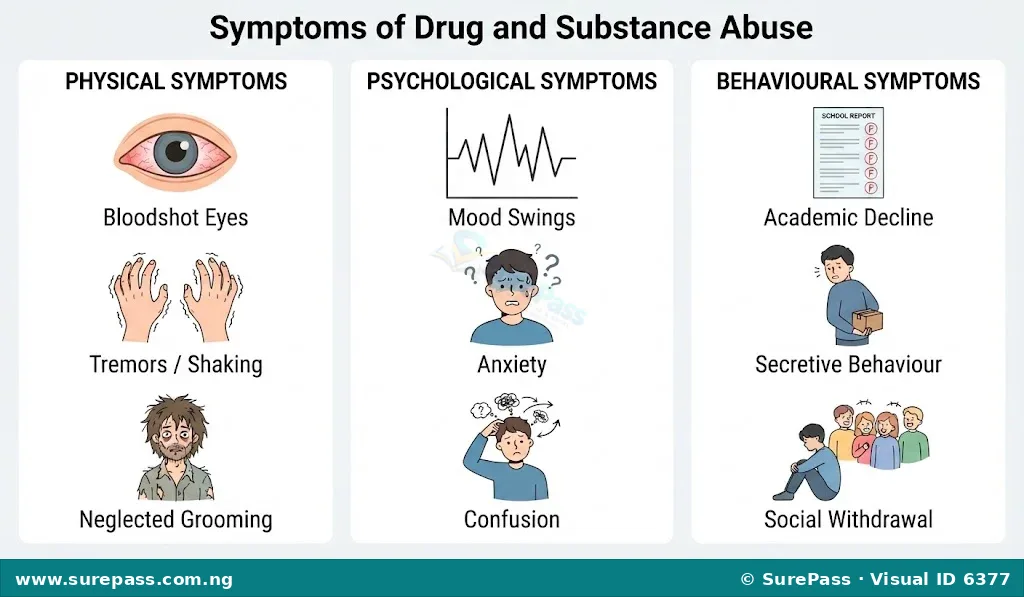 An infographic showing the physical, psychological, and behavioural symptoms of drug and substance abuse.