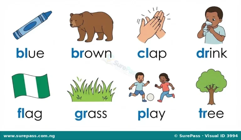 Pre-Reading Skills: Initial and Final Consonant Clusters for Primary 1