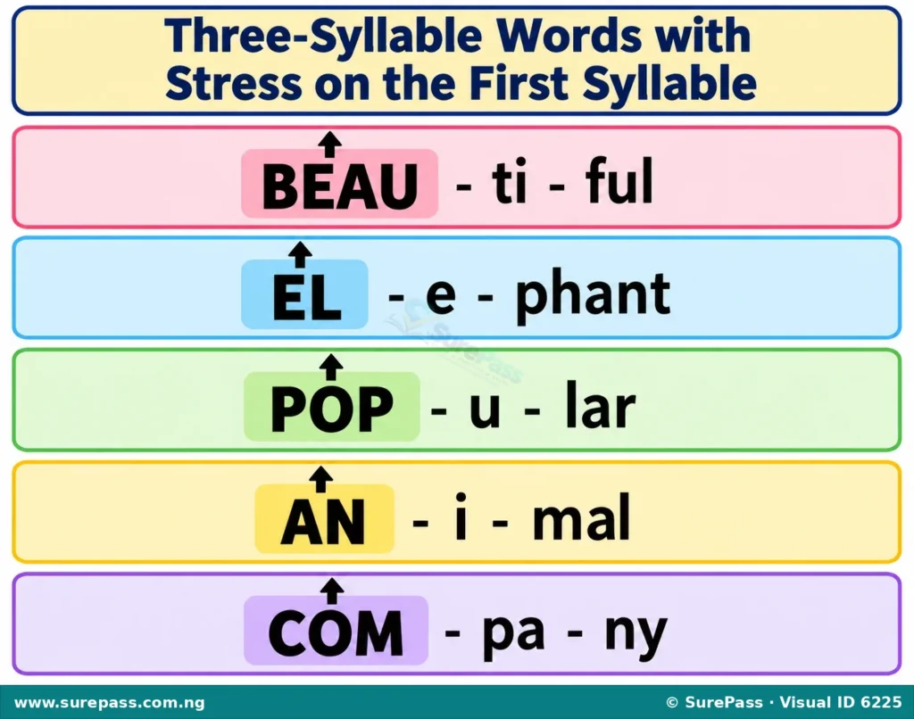 Diagram showing words like BEAUTIFUL, ELEPHANT, POPULAR, ANIMAL, COMPANY with the first syllable highlighted to show stress.