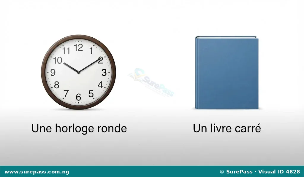 A round clock and a square book, illustrating "ronde" and "carré".