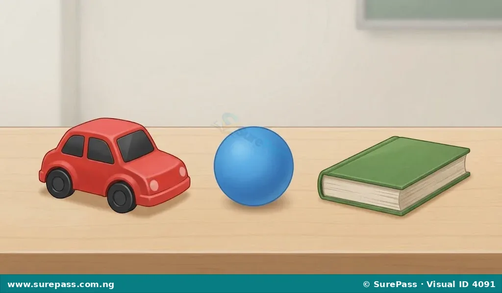 A small toy car, a small ball, and a small book.
