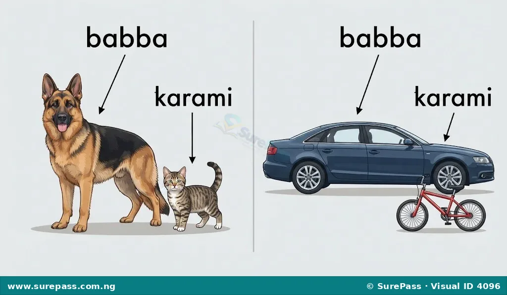 A large dog next to a small cat, and a large car next to a small bicycle.