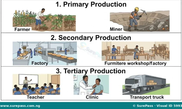 Production, Factors of Production and Division of Labour for SS 1