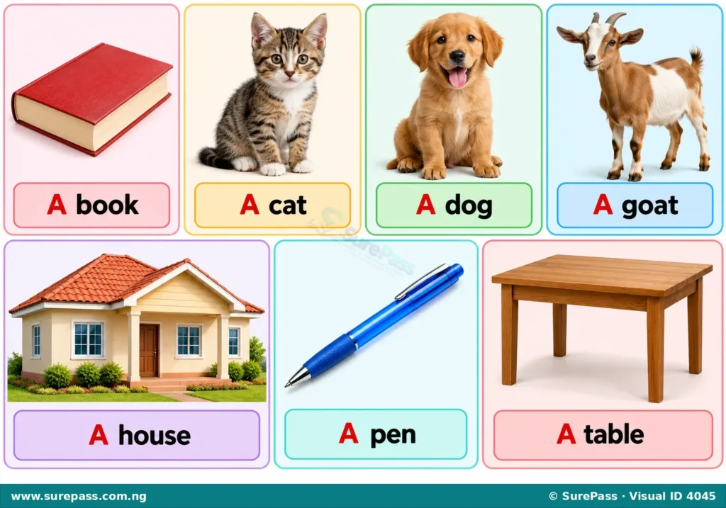 An illustration showing a book, a cat, a dog, a goat, a house, a pen, and a table, each labelled with 'A' before its name.