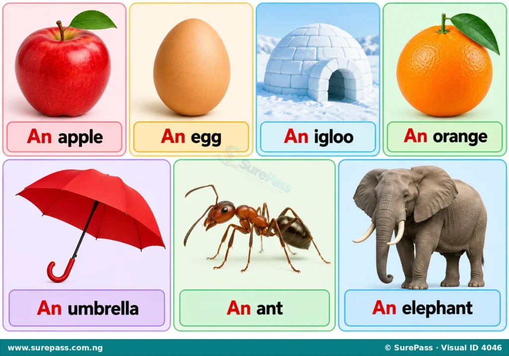 An illustration showing an apple, an egg, an igloo, an orange, an umbrella, an ant, and an elephant, each labelled with 'An' before its name.