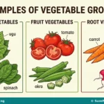 Vegetable Production from Nursery to Harvest for JSS 1