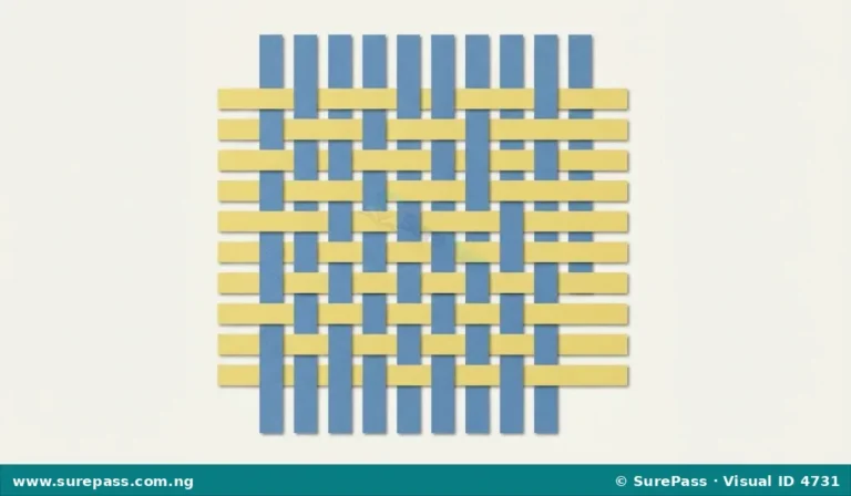 Meaning, Materials and Methods of Weaving for Primary 4